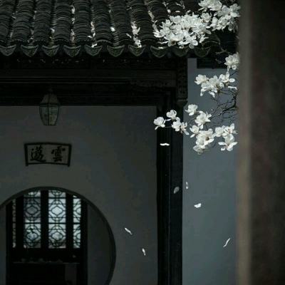 炮姬手游(暂未上线)v1.1.10 安卓版